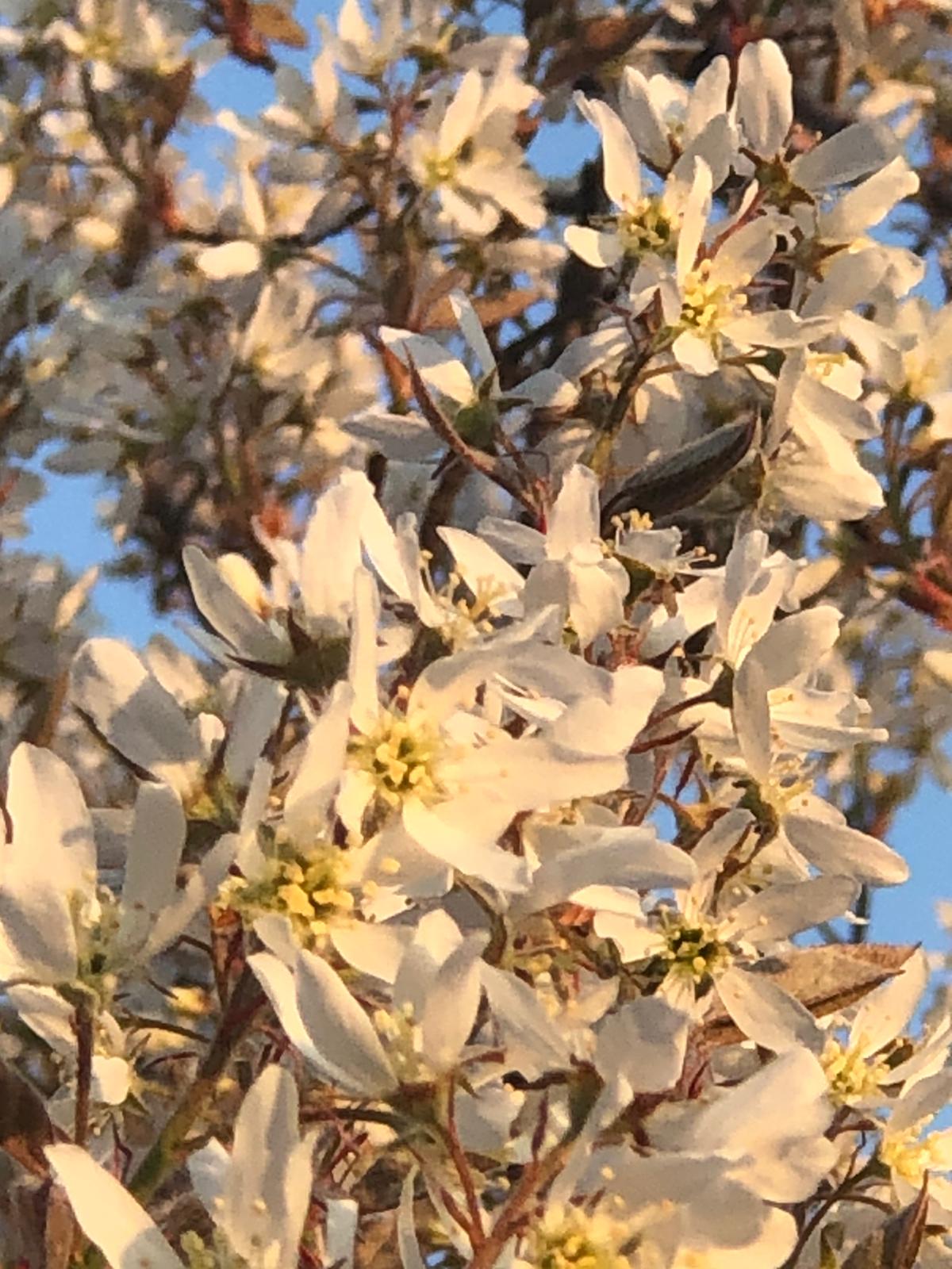 Teich im Yoga-Garten